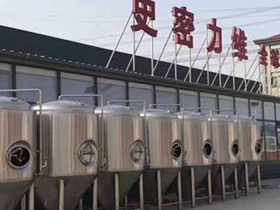 蒲城精酿啤酒设备厂—如何判断精酿啤酒设备的密封件需要更换？